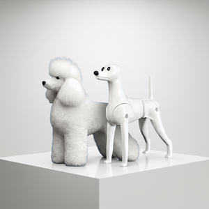 מודל שלד לכלב פודל סטנדרטי, בגודל מלא, לתרגול טיפוח חיות מחמד, כולל שיער סימולציה. - Product Image 1