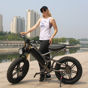 2022 alliage d'aluminium 750W 20 pouces gros pneu <span class=keywords><strong>vtt</strong></span> neige e-bike frein à disque hydraulique batterie au Lithium vélo de ville électrique <span class=keywords><strong>Chopper</strong></span> - Product Image 3