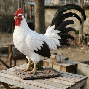 Ukuran hidup realistis buatan tangan Resin animatronik ayam jantan dalam ruangan hewan Pertanian Model dekoratif untuk sekolah taman kanak-kanak untuk dijual - Product Image 2