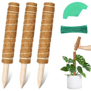 Poteau <span class=keywords><strong>de</strong></span> support pour plantes grimpantes d'intérieur en <span class=keywords><strong>fibre</strong></span> <span class=keywords><strong>de</strong></span> coco écologique avec mousse et tourbe <span class=keywords><strong>de</strong></span> coco pour jardin intérieur - Product Image 2
