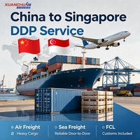Servicio Confiable de Transporte de Carga DDP, Despacho de Aduanas en China y Singapur, Seguro, Almacenamiento, Envío Estándar FCL 20GP/40HQ