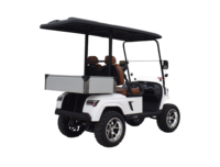 Voiturette de golf tout-terrain électrique 48V à 2 places, batterie lithium haute performance, produit chinois