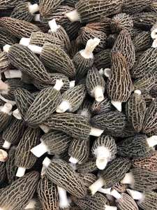 Оптовая Продажа, экспорт, свежие натуральные сублимационные сморчки Detan, сушеные черные сморчки - Product Image 3