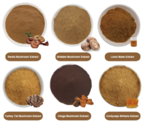 Café instantané au Ganoderma et aux champignons Lion's Mane, à base de plantes, marque distributeur, en poudre neutre noire en sachet