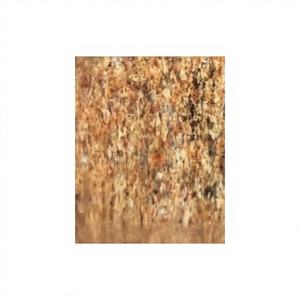 Carrelage en granit jaune indien, écologique, durable, poli, design traditionnel, garantie 5 ans pour l'intérieur/extérieur des villas - Product Image 1