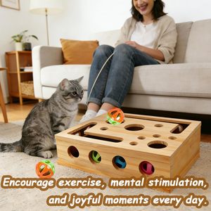 ZMaker - Nuevo Juguete de Madera para Gatos, Caja de Rascador para Gatos, Rompecabezas de Madera con Papel de Lija - Product Image 5