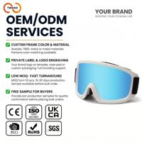 Lunettes de ski multifonctionnelles TWOOO SNOW06, monture en TPU, verres en PC, UV400, anti-buée, pour hommes et femmes, vente en gros directe d'usine