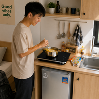 Fournisseur de plaques à induction OEM 2000W, plaque de cuisson électrique portable avec commande tactile et protection contre la surchauffe