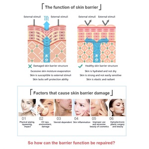 Tùy Chỉnh Nhãn Hiệu Riêng Chăm Sóc Da <span class=keywords><strong>D</strong></span>ịch Vụ Recombinant Loại III Collagen Sửa Chữa Kem <span class=keywords><strong>D</strong></span>ưỡng Da Kem <span class=keywords><strong>D</strong></span>ưỡng Da 50G Nhẹ Nhàng Mặt Trời Sửa Chữa Chăm Sóc - Product Image 6