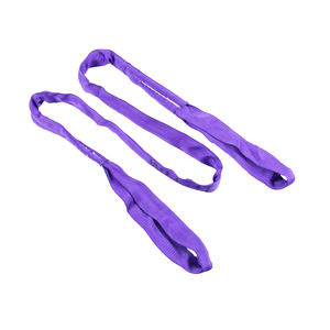 カスタマイズされたポリエステルスリングで目を反転させた丸いデザインリフティングウェビングでさまざまな色 - Product Image 2