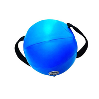 Ballon aquatique réglable SHQC en PVC de 20 cm, équipement de fitness portable pour la stabilité, marque MJW, 5 kg, pour l'entraînement de force à domicile