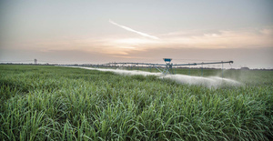 Daringfish 2026 Sistemas <span class=keywords><strong>de</strong></span> Riego por Aspersión <span class=keywords><strong>de</strong></span> Pivote Central <span class=keywords><strong>de</strong></span> 100 ha para una Agricultura Eficiente - Product Image 2