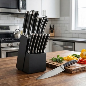 Garwin Vente Flash - Ensemble de 14 Couteaux de Cuisine en Acier Inoxydable 3Cr13 - Couteau de Chef Ergonomique avec Manche en ABS - Product Image 1