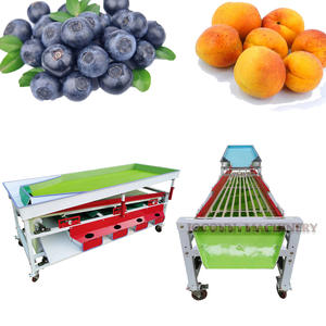 Avocat myrtille machine <span class=keywords><strong>de</strong></span> tri tomate fraise machine <span class=keywords><strong>de</strong></span> tri jujube agrumes framboise machine <span class=keywords><strong>de</strong></span> classement - Product Image 1