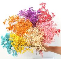 Fleurs de Gypsophile Préservées de Haute Qualité en Gros 120g pour la Décoration de la Maison, des Mariages, de la Fête des Mères et de la Saint-Valentin