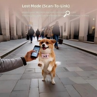 Collier de suivi GPS personnalisé pour animaux de compagnie avec caméra, podomètre, 4G, 5G, Wi-Fi, Bluetooth, directement de l'usine