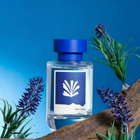 Diffuseur d'ambiance cylindrique en verre, parfum agrumes, non toxique, pour bureau, longue durée (60-90 jours), décoration