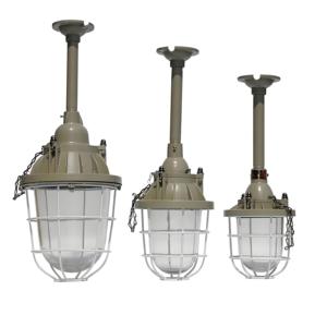 Ampoule LED antidéflagrante, luminaire à économie d'énergie appliqué dans les usines industrielles et les zones à risque d'explosion. - Product Image 1