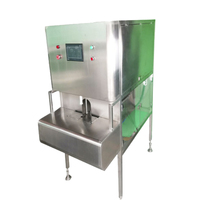 Fruit Citroen Appel Oranje Mango Schilmachine