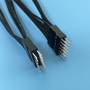 Kustom baris ganda perempuan laki-laki 2.54mm Pitch colokan DuPont papan roti 24AWG harnes kabel Jumper kabel Terminal PCB Harness kawat - Product Image 4