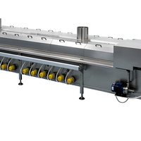 Automatische fruit- en groenteverwerkingslijn, koolzaadblancher, snelvrieslijn voor groenteverwerking, enzym-inactivatielijn