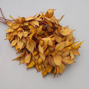Feuilles de noisier artificielles Xinchengzhi 30cm-100cm, décorations de mariage réalistes en plastique et soie - Product Image 2