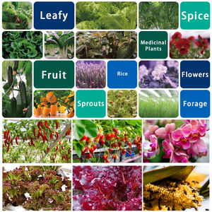 ไฟปลูกพืช Liweida Full Spectrum 660nm แบบหัวเดี่ยว/คู่ รูปทรงหกเหลี่ยม พร้อมคลิปหนีบ  ตั้งเวลาได้ 3/<span class=keywords><strong>9</strong></span>/12 ชั่วโมง  USB 5V 20W 40W สำหรับปลูกในร่ม ช่วงเจริญเติบโตและออกดอก - Product Image 6