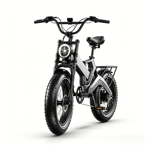 Bicicletta Elettrica da Montagna Fuoristrada per Adulti, Motore da 1000W, Batteria 48V 14.5AH, E-bike Pieghevole, Pneumatici Fat da 20 Pollici - Product Image 1