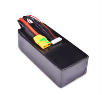 Faisceau de câbles en silicone avec connecteur série XT, câble de conversion d'énergie personnalisé, câble de connexion pour batterie de stockage d'énergie