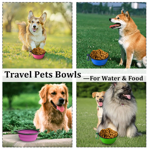 Fabricante OEM ODM, Tazón Portátil Plegable para Agua y Comida para Mascotas (Perros y Gatos) con Mosquetón, Personalizable con Logotipo y Color - Product Image 3