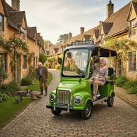 Scooter électrique à quatre roues à autonomie de batterie élevée de nouveau style HLD avec housse de pluie voiturette de golf électrique à quatre roues