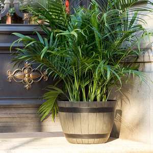 <span class=keywords><strong>Pot</strong></span> de fleurs rond en résine écologique, style seau, <span class=keywords><strong>pour</strong></span> bonsaï, <span class=keywords><strong>laurier</strong></span> vert, décoration, <span class=keywords><strong>pour</strong></span> jardin intérieur et extérieur - Product Image 5