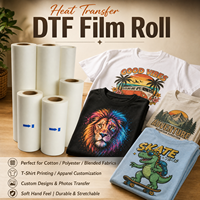 Film de transfert thermique 30cm 60cm, film de transfert DTF PET à pelage instantané chaud/froid pour l'impression sur t-shirts