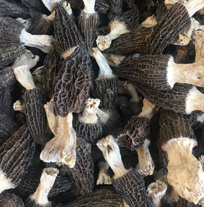 Séchoir à champignons électrique avec contrôle de température microélectronique - Product Image 4