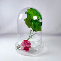 Campana de Cristal Transparente de 8 Pulgadas con Base para Plantas de Interior, Terrario Pequeño, Florero de Mesa para Bodas, Decoración del Hogar Hecha a Mano y Ecológica