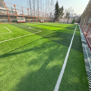 Césped <span class=keywords><strong>Artificial</strong></span> para Pádel Personalizado Compatible con APEX OEM, 250-400 Puntadas por <span class=keywords><strong>Metro</strong></span> <span class=keywords><strong>Cuadrado</strong></span> - Product Image 6