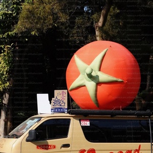 Modelo <span class=keywords><strong>de</strong></span> <span class=keywords><strong>Tomate</strong></span> Inflable Gigante con Iluminación LED, Color <span class=keywords><strong>Rojo</strong></span>, Vegetal Inflable para Decoración/Promoción en Festivales <span class=keywords><strong>de</strong></span> Comida - Product Image 6