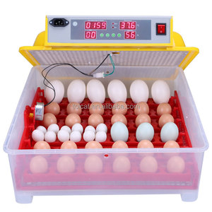 Tolcat solar incubadoraincub de huev automat Automatic cheap incubadoras de pollos For haching for sale chicken egg incubator