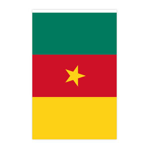 喀麦隆弦旗涤纶面料国旗生日派对节日装饰 - Product Image 2