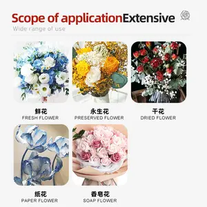 2024 New Product Real Flowers Spray Paint Flower Painting In Different Colors