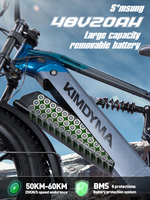 48V20AH 750W Electric Fat Tire Chopper Touring Motorcycle