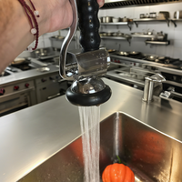 Robinet de cuisine commercial industriel en laiton à deux poignées, haute pression, résistant à la température, avec douchette extractible pour pré-évier, à montage sur plan.