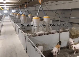 Peralatan Peternakan Babi Berkualitas Tinggi Pena atau Peti untuk Menyapih Anak Babi - Product Image 5