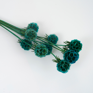 Fabricant de fruits de moulin à vent de Scabiosa conservés, belle fleur d'étoile séchée naturelle pour la décoration de mariage à la maison - Product Image 4