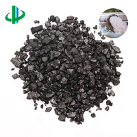 Carbón Activado Granular a Base de Carbón con 99% de Pureza para la Purificación de Aguas Residuales Químicas