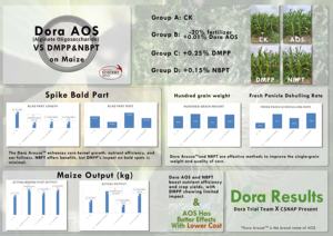Dora Factory Vente en gros Agent d'enracinement naturel Excitation <span class=keywords><strong>Engrais</strong></span> <span class=keywords><strong>bio</strong></span> stimulant contre l'hormone d'enracinement des plantes IBA pour le manioc - Product Image 2