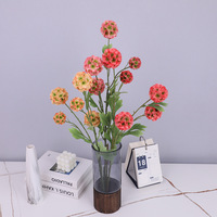 Fleur Graine CLH-517 Soie Artificielle Pampas Herbe 5 Tête Roue Table Hall Décoration À La Main Style Moderne Usine En Gros