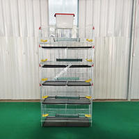Cage à cailles de type H à 6 niveaux pour l'élevage et la production d'œufs - Vente directe usine