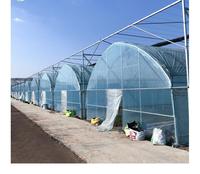 Serre tunnel agricole à simple travée à faible coût pour la culture de légumes