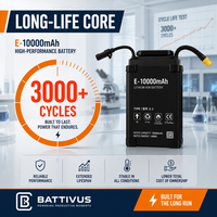 Аккумулятор Battivus 48В 400Втч, полутвердотельный, 3000 циклов, высокая энергетическая плотность, LiPo, -50°C - 60°C, длительное время работы, для БПЛА VTOL